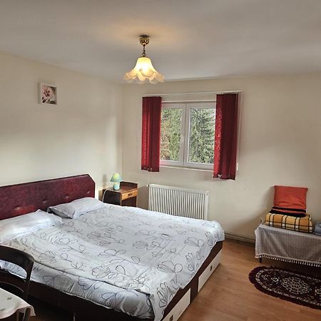 Apartament Retro-Relax Sinaia Buitenkant foto