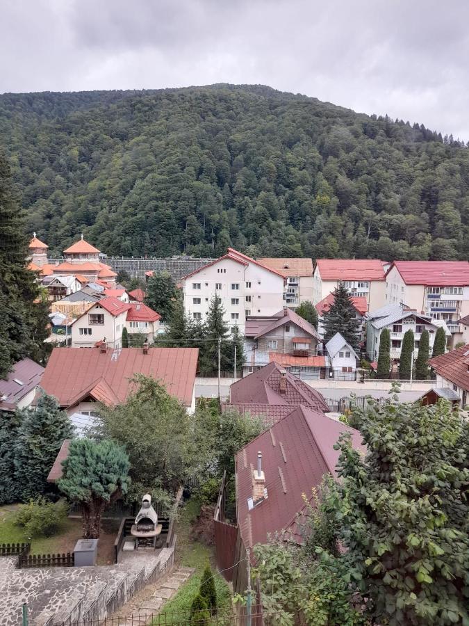 Apartament Retro-Relax Sinaia Buitenkant foto